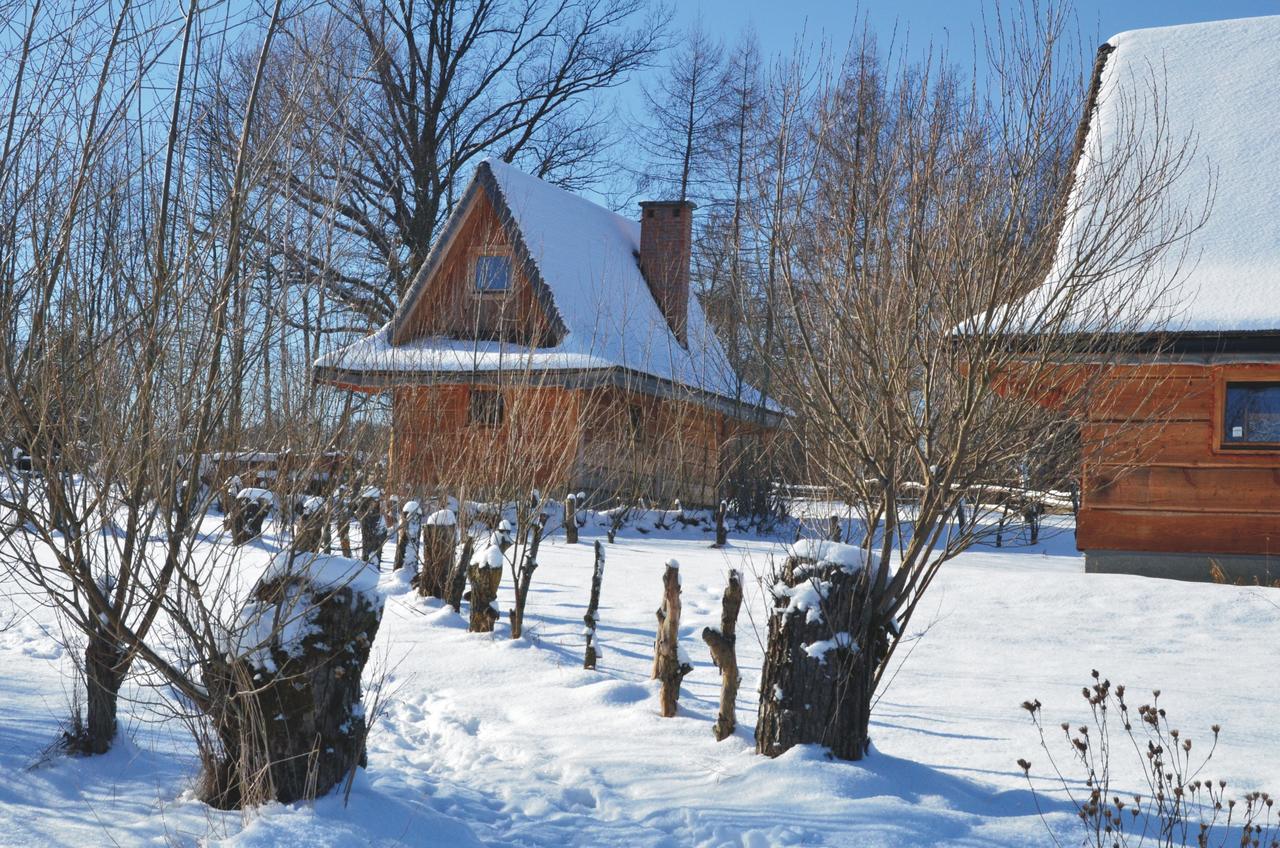 Domki Osada Werdolyna Polańczyk Exterior foto